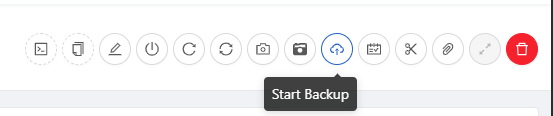 Start Backup action in the VM toolbar